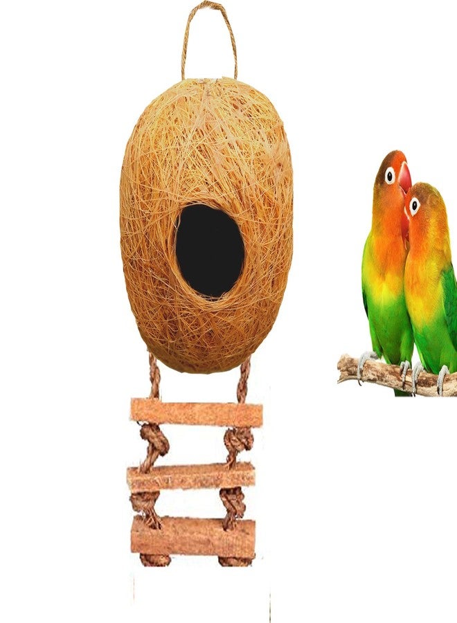 LIVEONCE Bird Round Nest in Coir Steps Nest for Cage All Birds Love Birds,Budgies,Finches and Decoration -Color -Brown - Image 4