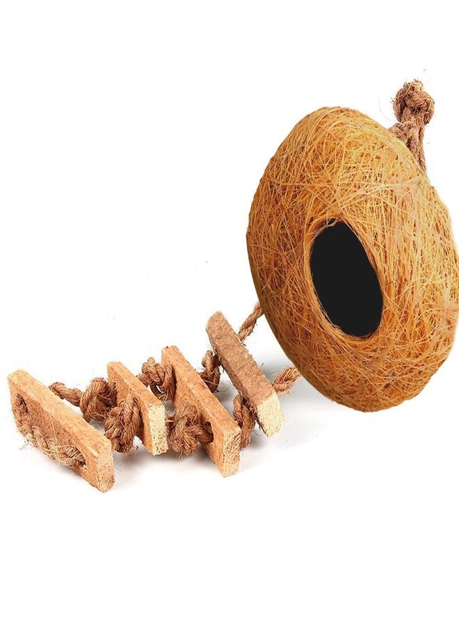 LIVEONCE Bird Round Nest in Coir Steps Nest for Cage All Birds Love Birds,Budgies,Finches and Decoration -Color -Brown - Image 2