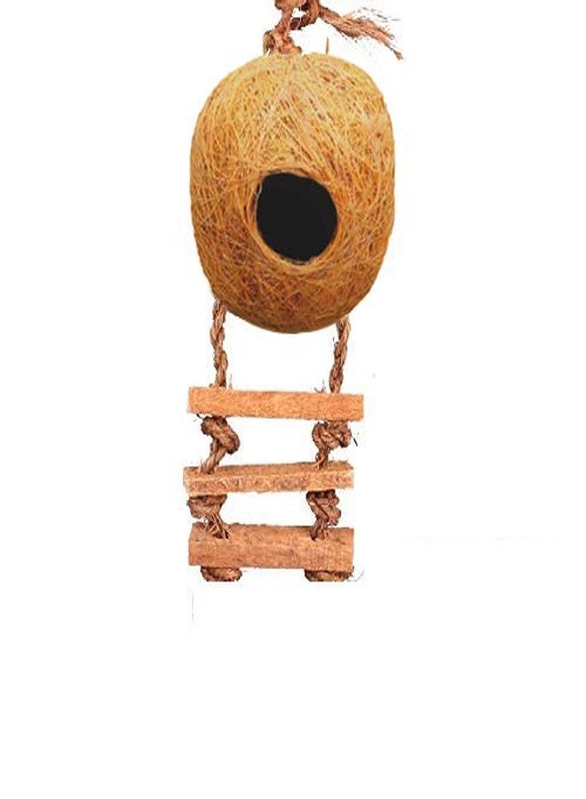 LIVEONCE Bird Round Nest in Coir Steps Nest for Cage All Birds Love Birds,Budgies,Finches and Decoration -Color -Brown - Image 3