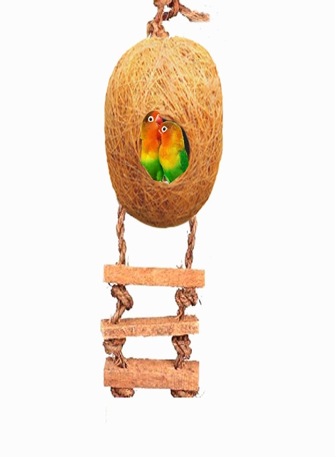 LIVEONCE Bird Round Nest in Coir Steps Nest for Cage All Birds Love Birds,Budgies,Finches and Decoration -Color -Brown - Image 1