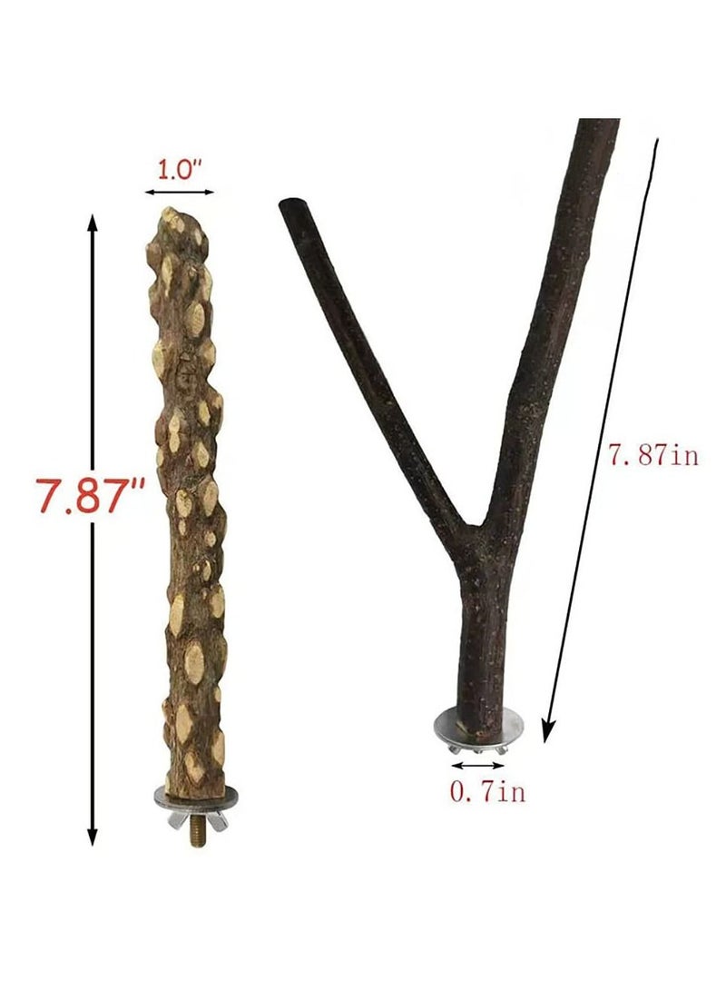 حامل ببغاء شائك من الخشب الطبيعي ، لعبة على شكل فرع ، عصا طحن بمخلب من أجل الطيور الصغيرة والمتوسطة الحجم ، ملحقات قفص كونور ببغاء كوكاتيل - Image 3