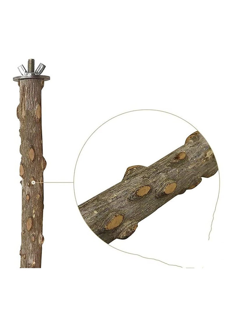 حامل ببغاء شائك من الخشب الطبيعي ، لعبة على شكل فرع ، عصا طحن بمخلب من أجل الطيور الصغيرة والمتوسطة الحجم ، ملحقات قفص كونور ببغاء كوكاتيل - Image 4