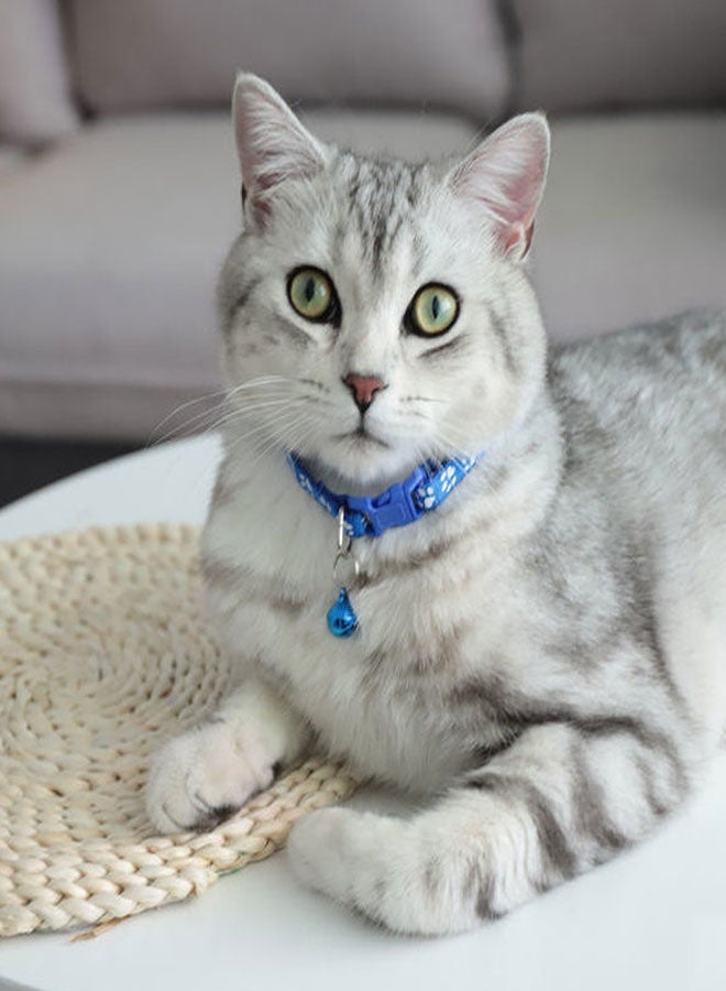 وهاواي 12PCS Cat Collar with Bell, Breakaway Cat Collar with Safety Release Buckle and Bell, Adjustable for Cats and Kitten, Color Assorted - Image 5