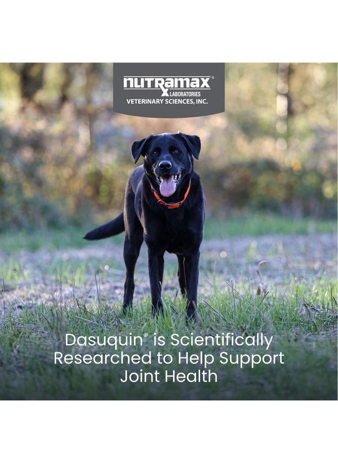 Nutramax Laboratories Nutramax Dasuquin for Large Dogs, Joint Health Supplement, Contains Glucosamine for Dogs, Plus Chondroitin, ASU and More, Supports Healthy Joints, Chewable Tablets, 150 Count  - Image 2