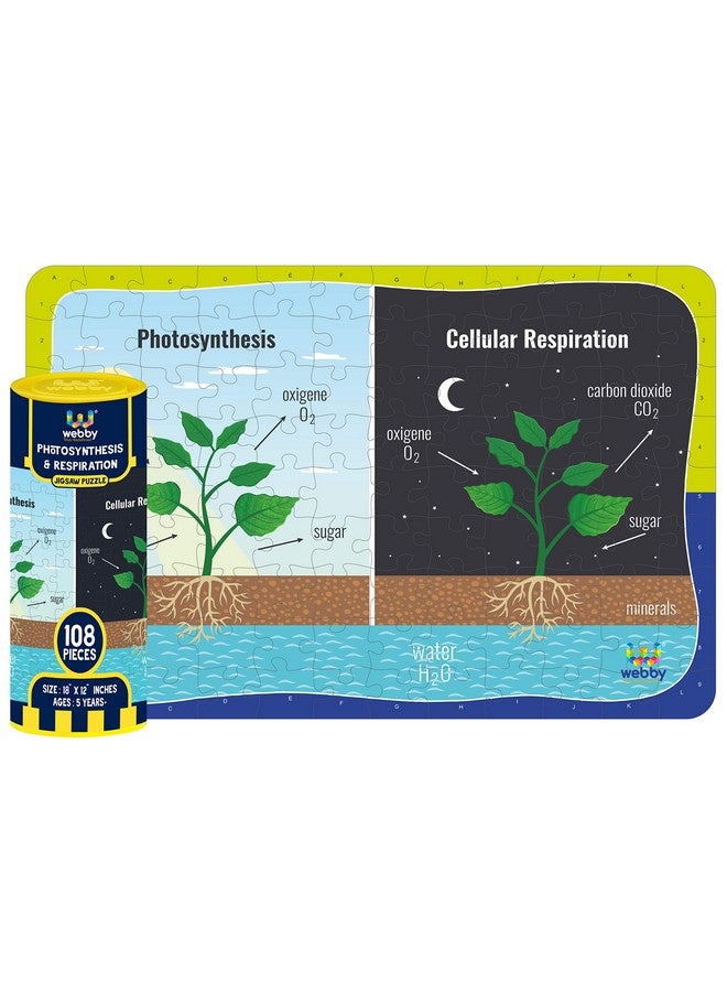 Webby Kids Photosynthesis & Respiration Jigsaw Puzzle, 108 Pieces - Image 1