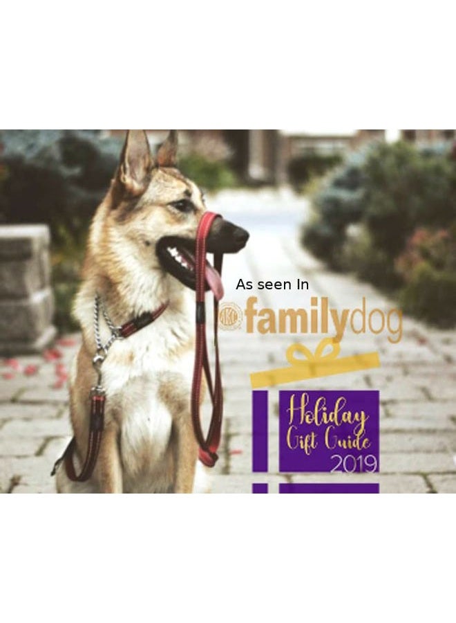 Rogz Utility Medium 5/8-Inch Reflective Snake Obedience Half-Check Dog Collar, Blue - Image 4