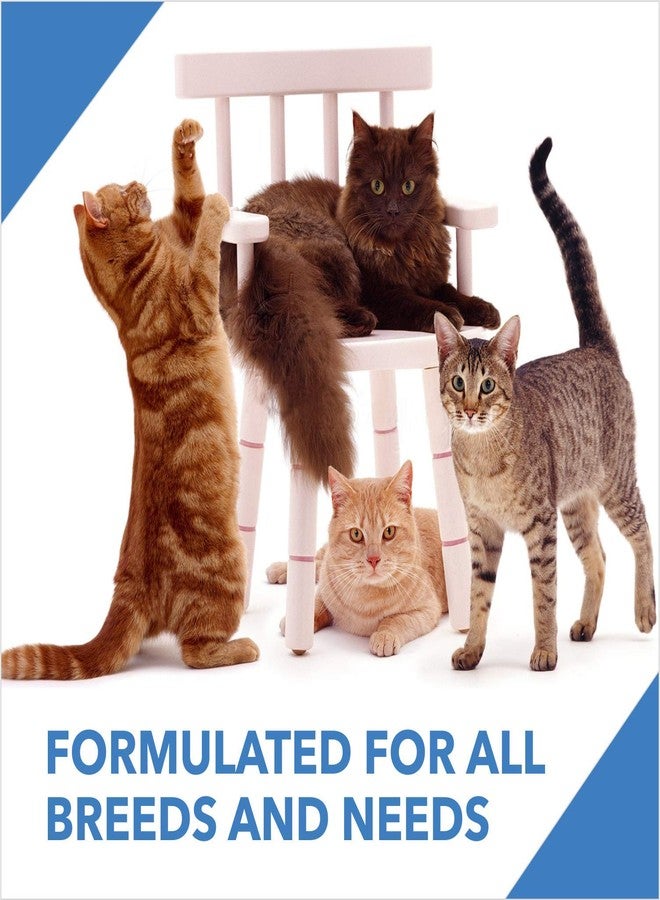 Drools Adult Dry Cat Food ,Tuna and Salmon Flavour 3kg Pack - Image 4