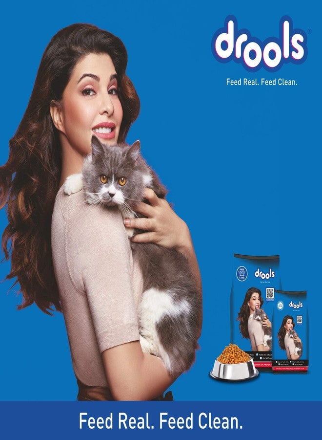 Drools Adult Dry Cat Food ,Tuna and Salmon Flavour 3kg Pack - Image 5