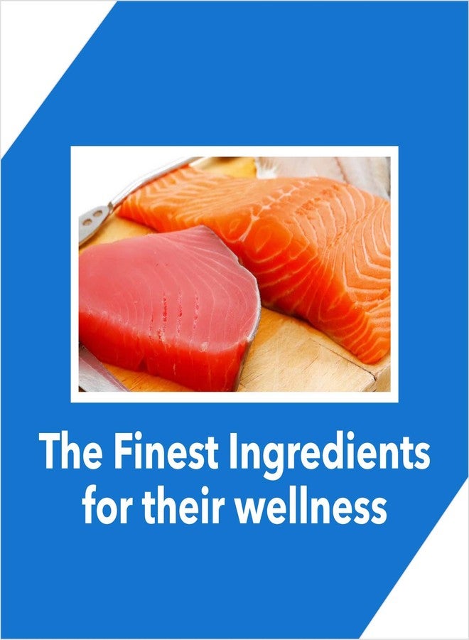 Drools Adult Dry Cat Food ,Tuna and Salmon Flavour 3kg Pack - Image 3