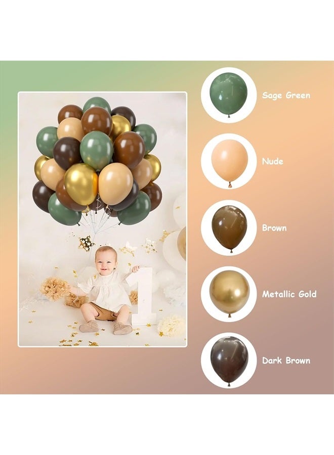 Teslite Green and Brown Balloons, 60 PCS Sage Green Dark Brown Beige Latex Balloons Set with Metallic Gold Balloons, Olive Green Gold Nude Coffee Party Balloon for Jungle Safari Woodland Birthday Decorations - Image 4
