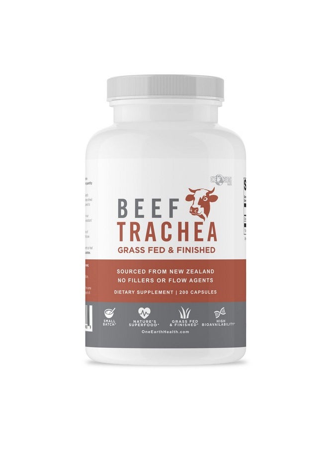 Grass Fed Beef Trachea New Zealand Sourced Trachea. 3 000Mg Per Serving 200 Count - pzsku/ZB33ECED0D2EE9A629D07Z/45/_/1696916585/77391cdc-9718-441f-9f4f-e6c7dbb7d845