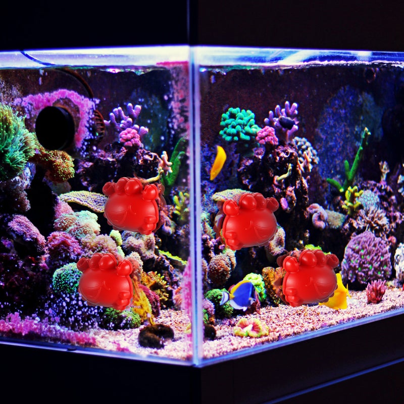 🐾 فرشاة تنظيف حوض السمك بتصميم عائم لمسة سهلة مقاومة للتآكل لكشط الطحالب - Image 4
