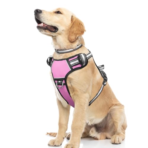 WINSEE Dog Harness No Pull Pet Harnesses with Dog Collar Adjustable Reflective Oxford Outdoor Vest FrontBack Leash Clips for Small Medium Large Extra Large Dogs Easy Control Handle for Walking