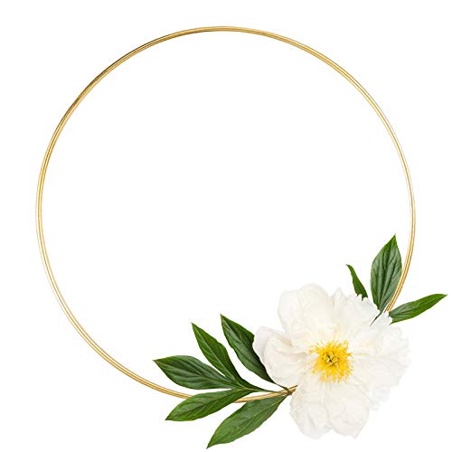 LULARINE 8 Pack Large Metal Floral Hoop Wreath Macrame Gold Hoop Rings(6 Inch8 Inch10 Inch 12 Inch) for Making Wedding Wreath Decor and DIY Dream Catcher Wall Hanging Crafts-Gold - Image 3