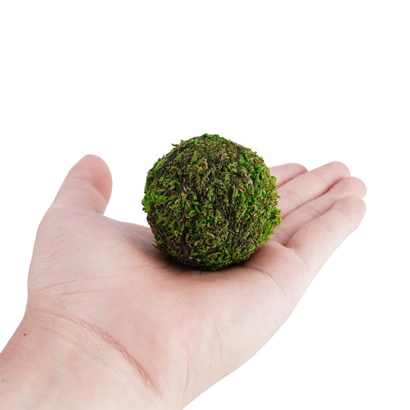 BYHER Decorative Moss Balls Set - Fake Moss Balls for Bowl Fillers, Centerpiece Decor, Home Decor, Vase Filler, Wedding Decor, Table Arrangement, Coffee Accents, DIY Crafts (Small - 2"-Set of 12) - Image 2