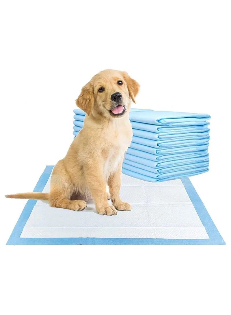 Generic 40pcs Disposable Absorbent Quick Drying Leak-Proof Pee Pads For Potty Training For Pets, 60X60Cm L - 40 Pieces, Blue, L - 60X60Cm  - Image 4