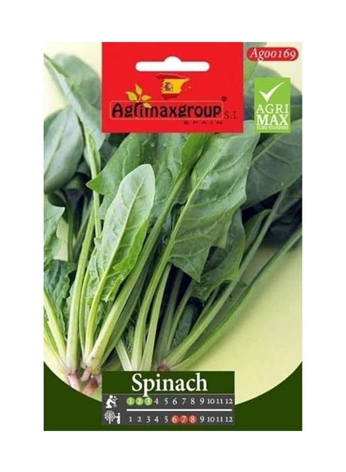 Agrimax Spinach Premium Quality Seeds by Agrimaxgroup®