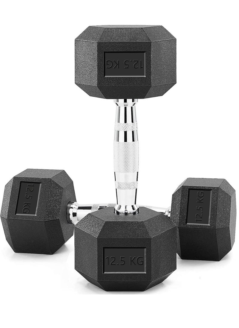 Sky Land - Set Of 2 Rubber Coated Hex Dumbbells, 1 Pair, 2x12.5kg | Exercise Weight Dumbbells, Chrome Plated for Strength Training Weights - Image 1