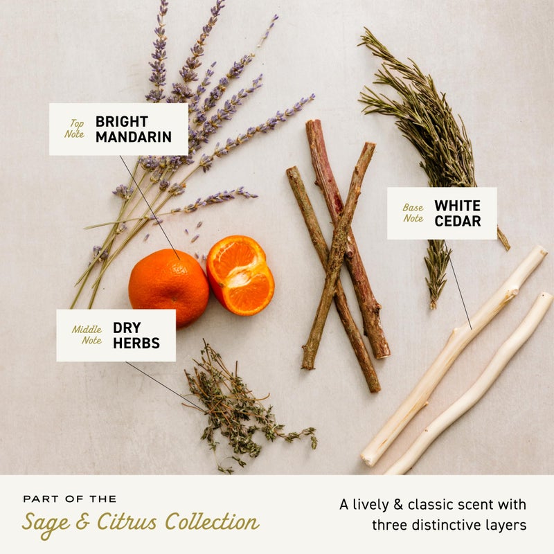 cremo غسول الجسم كريمو للرجال، مزيج منشط من اليوسفي الساطع، الأعشاب الجافة والأرز الأبيض، 16 أونصة سائلة - Image 3