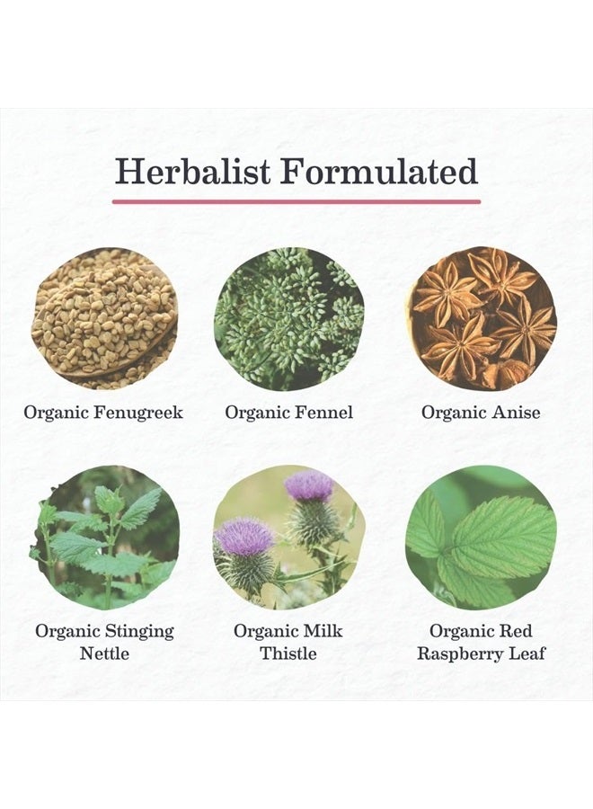 Earth Mama شاي ميلك ميد® العضوي | أكياس شاي عشبي لدعم الرضاعة الطبيعية، مكمل رضاعة خالي من الكافيين لزيادة إنتاج حليب الثدي، مع الشوك المقدس والحلبة (16 قطعة، عبوتين) - Image 2