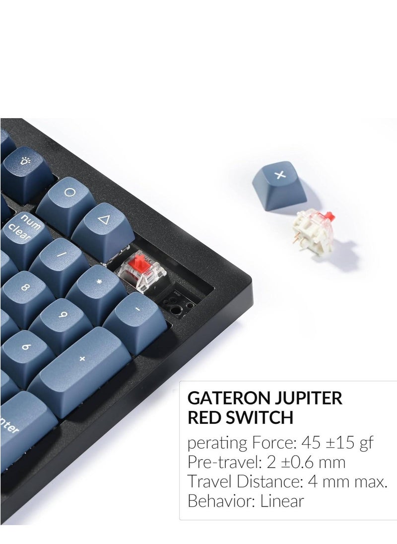 Keychron V6 Max QMK/VIA Wireless Mechanical Keyboard, Gateron Jupiter Red Key Switch, 100% Full-Size, Tri-Mode Connectivity (2.4GHz, BT, Wired), English-Arabic Layout, V6M-D1-AR - pzsku/ZB348C6B5DC8137172853Z/45/_/1730553920/d4b01c8a-386e-43cd-bba8-36d6bf0ead28