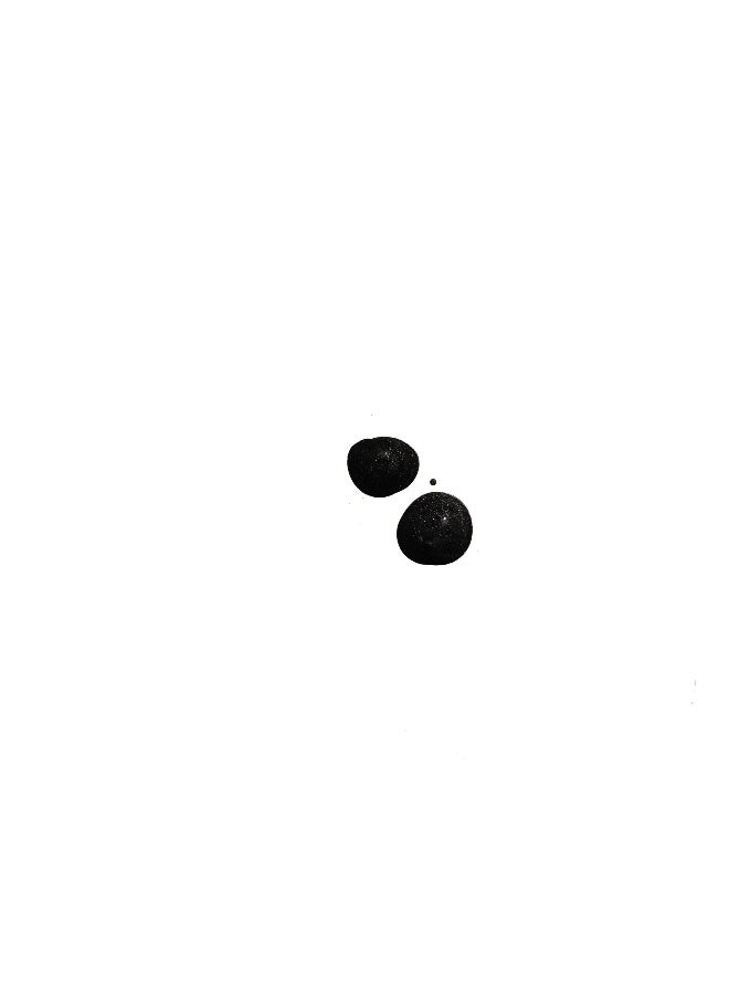 gosh **Xtreme Liquid Gel Eye Liner - Image 2