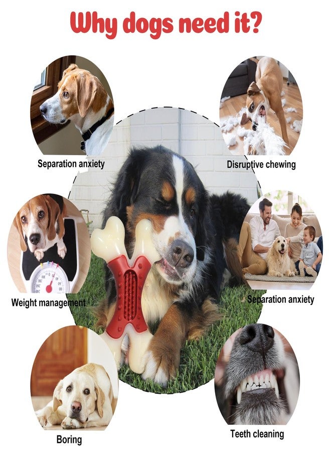 BAAL Beef Flavor Durable Nylon Bone Dog Toy for Medium and Large Breeds (RED) - Image 2