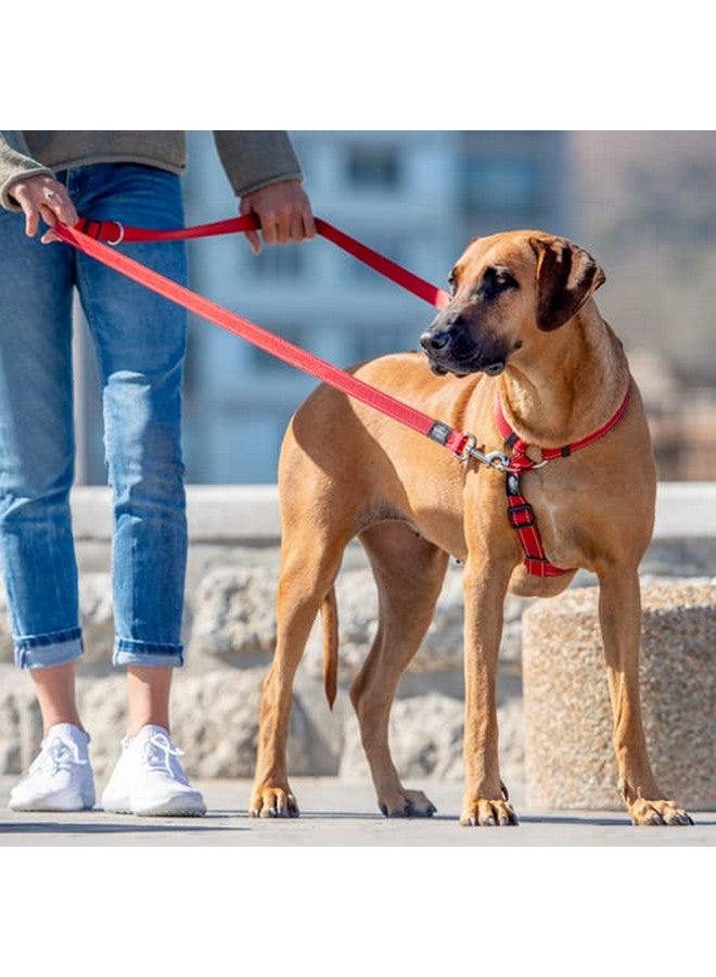 Rogz HLM06-C Utility Leash/Fanbelt, L, Red - Image 2