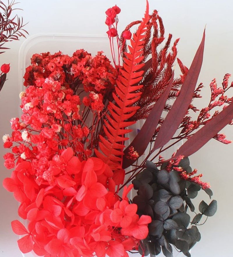 iKalaa Preserved Dried Flower | Resin Art |Nail Art | Jewelry | Candle Making | Craft & DIY Accessories (Red and Black) - Image 1