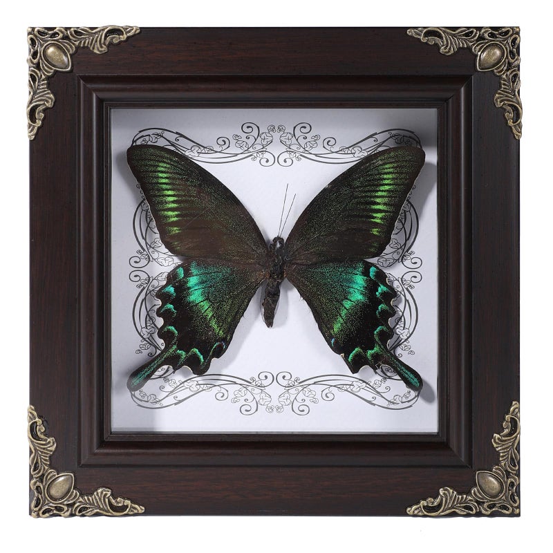 Lontcs Handmade Real Butterfly Framed Home Decor,Taxidermy Shadow Box for Goth Dark Academia Wall Art Decor,Gothic Furniture Gifts for Victorian Whimsigoth Fantasy Moody Witchy Room Bedroom Decor - Image 1
