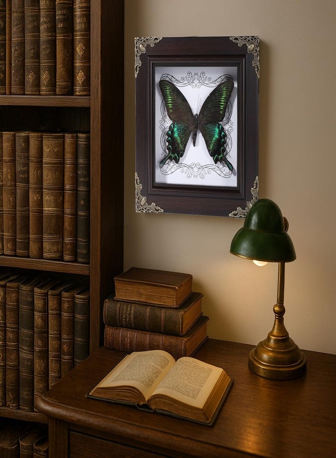 Lontcs Handmade Real Butterfly Framed Home Decor,Taxidermy Shadow Box for Goth Dark Academia Wall Art Decor,Gothic Furniture Gifts for Victorian Whimsigoth Fantasy Moody Witchy Room Bedroom Decor - Image 5