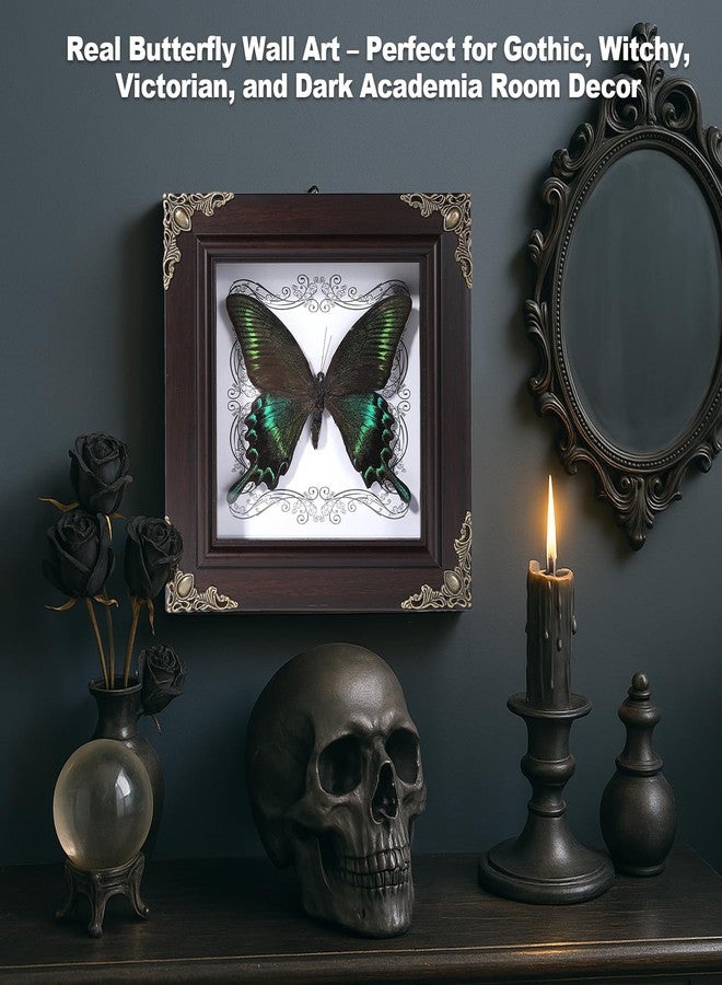 Lontcs Handmade Real Butterfly Framed Home Decor,Taxidermy Shadow Box for Goth Dark Academia Wall Art Decor,Gothic Furniture Gifts for Victorian Whimsigoth Fantasy Moody Witchy Room Bedroom Decor - Image 4