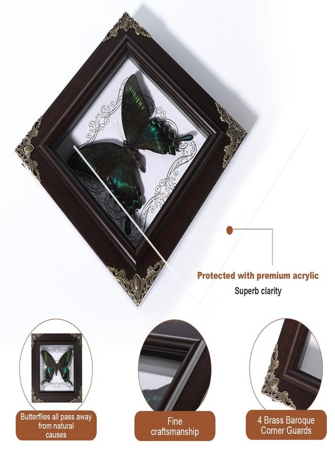 Lontcs Handmade Real Butterfly Framed Home Decor,Taxidermy Shadow Box for Goth Dark Academia Wall Art Decor,Gothic Furniture Gifts for Victorian Whimsigoth Fantasy Moody Witchy Room Bedroom Decor - Image 3
