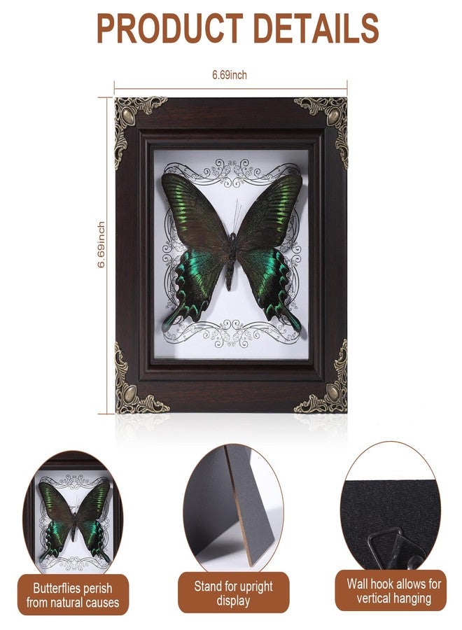 Lontcs Handmade Real Butterfly Framed Home Decor,Taxidermy Shadow Box for Goth Dark Academia Wall Art Decor,Gothic Furniture Gifts for Victorian Whimsigoth Fantasy Moody Witchy Room Bedroom Decor - Image 2