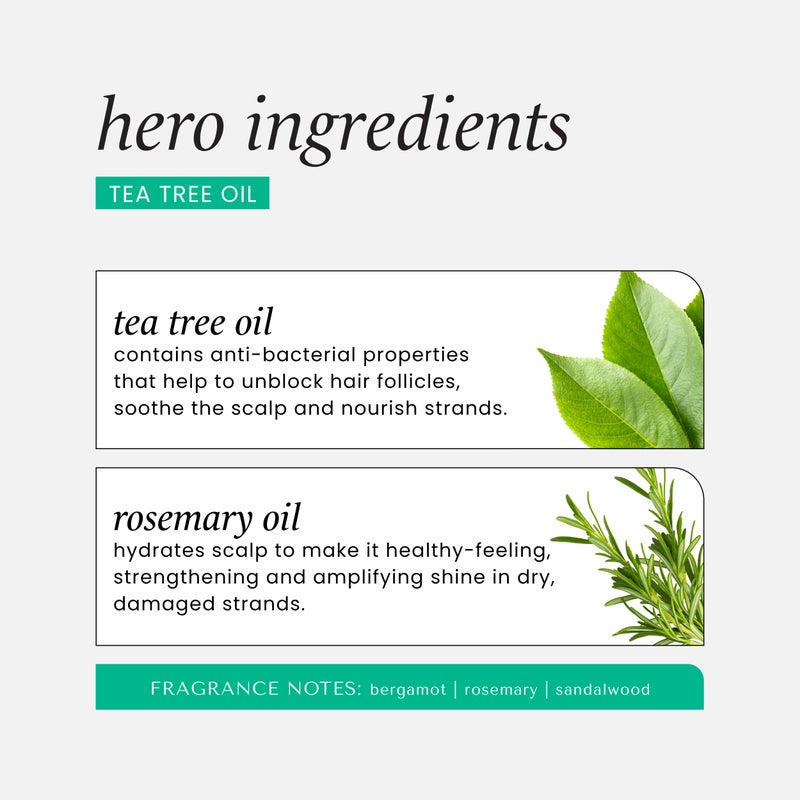 HASK Tea Tree Oil & Rosemary Invigorating Shampoo + Conditioner Set | Refreshes Scalp, Soothes, Sulfate-Free, Paraben-Free, Gluten-Free, Color Safe | 12oz each - Image 5