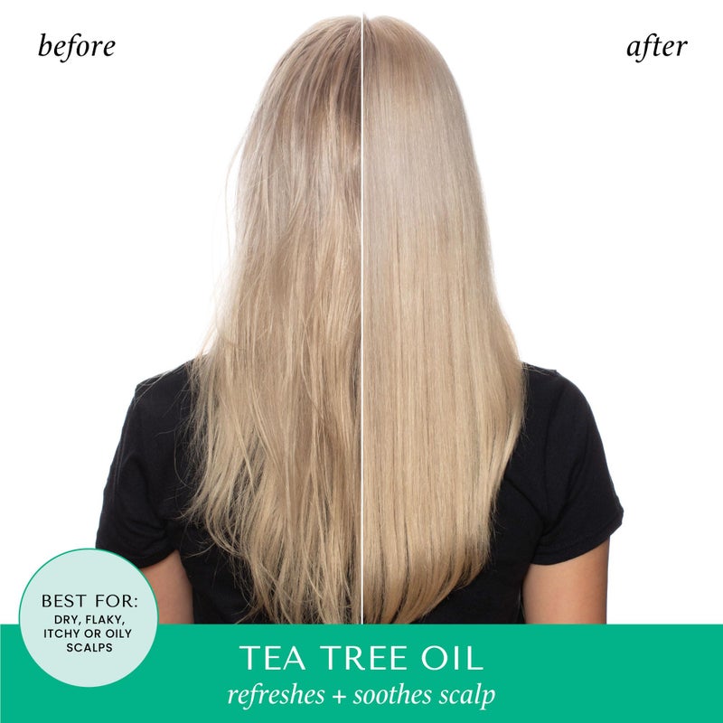 HASK Tea Tree Oil & Rosemary Invigorating Shampoo + Conditioner Set | Refreshes Scalp, Soothes, Sulfate-Free, Paraben-Free, Gluten-Free, Color Safe | 12oz each - Image 3