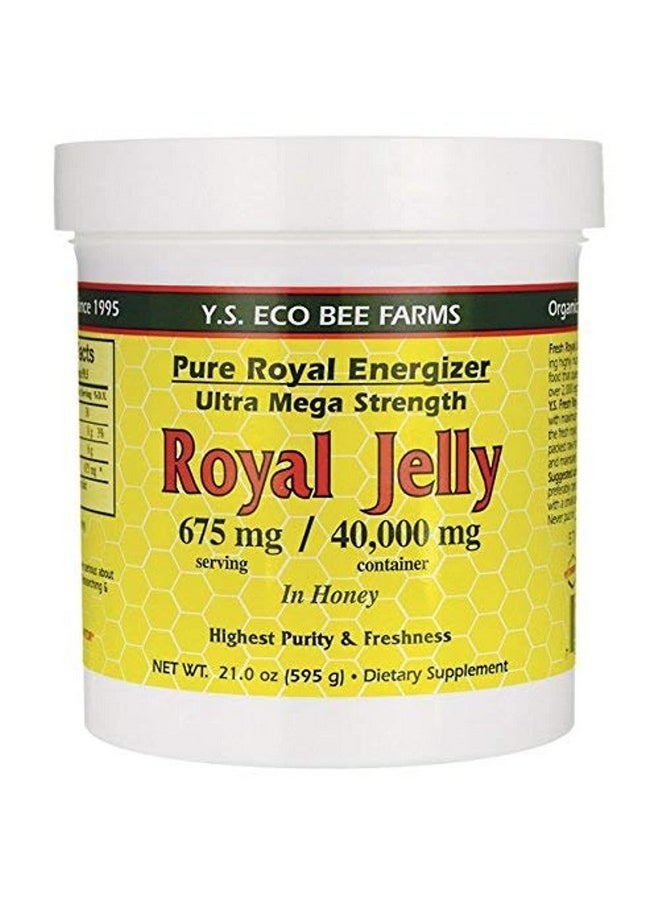 Royal Jelly In Honey Ultra Strength 21 Oz Gel - pzsku/ZB34E7A645F4E957D6379Z/45/_/1695134256/ebc28e9a-9b3e-47fe-adb4-4577ca033ab4