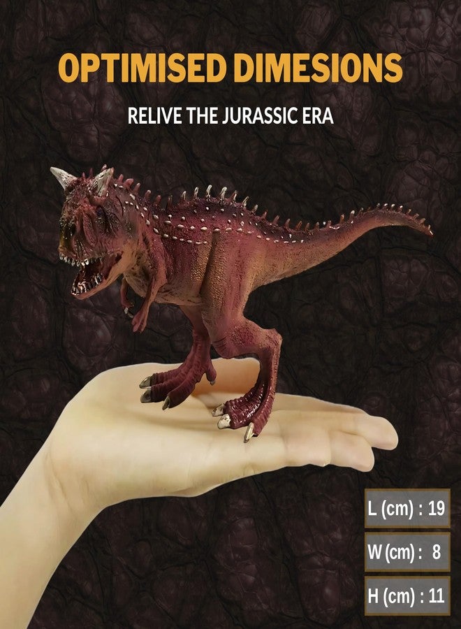 CRYA Carnotaurus Toy Dinosaur Action Figure, Realistic Carnotourus Big Dinosaurs Toys for Kids, Carno Taurus Dinosaur Toy for Play and Display, Jurassic Dino Toys for Boys & Girls (Carnotaurus) - Image 5