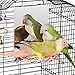 Colorday 7 Bird Mirror for cage with Rope Perch Bird Swing Parrot Cage Toy for Parakeet Budgie African Grey Conure Cockatiel Lovebird Finch Canarie Medium - Image 3