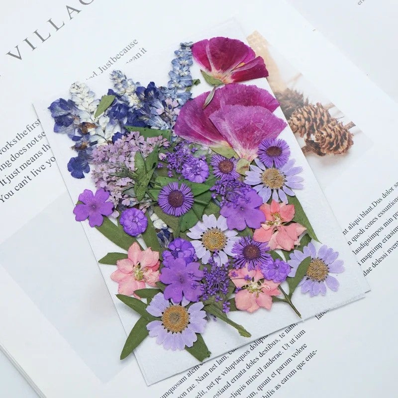 Y&D 39Pcs Large Real Dried Pressed Flowers Bulk Colorful Botanicals for DIY Resin Crafts Nail Art Wedding Decorations Bookmarks Vases - Image 3