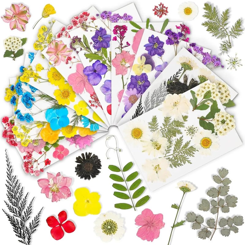 Y&D 39Pcs Large Real Dried Pressed Flowers Bulk Colorful Botanicals for DIY Resin Crafts Nail Art Wedding Decorations Bookmarks Vases - Image 2