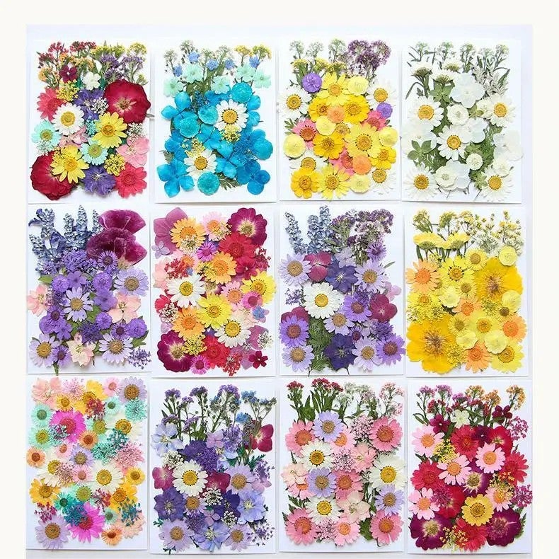 Y&D 39Pcs Large Real Dried Pressed Flowers Bulk Colorful Botanicals for DIY Resin Crafts Nail Art Wedding Decorations Bookmarks Vases - Image 4