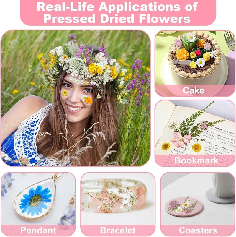 Y&D 39Pcs Large Real Dried Pressed Flowers Bulk Colorful Botanicals for DIY Resin Crafts Nail Art Wedding Decorations Bookmarks Vases - Image 5