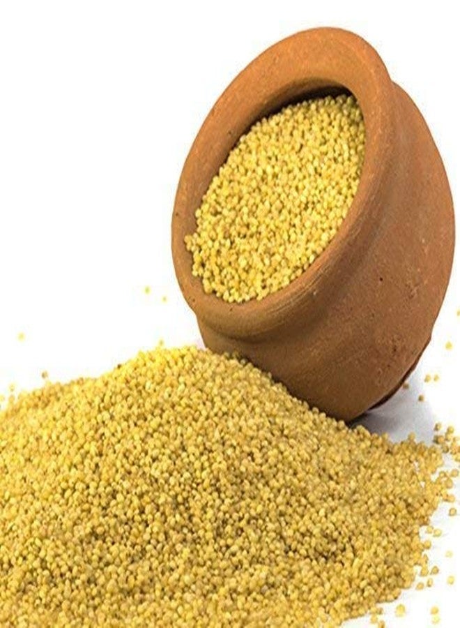 advancedestore Small Kangni Seed Bird Food / Royal Pet Bird Food kangani Foxtail millets Pack of 1 kgs