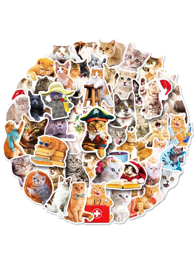 Bluejw 200 Realistic Cat Stickers Mori Realistic Kitty Sticker PVC Waterproof Notebook Stickers - Image 1
