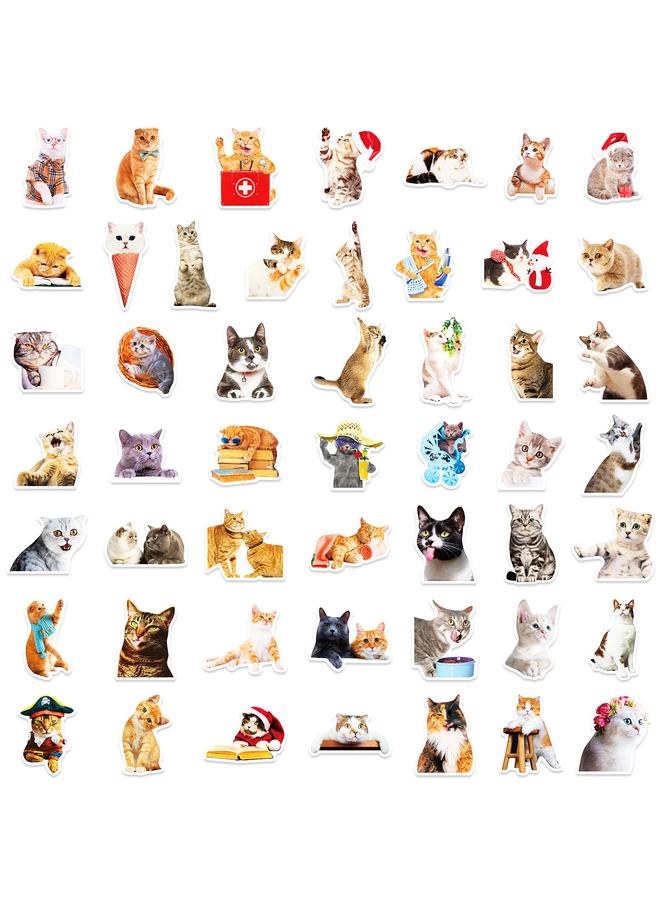 Bluejw 200 Realistic Cat Stickers Mori Realistic Kitty Sticker PVC Waterproof Notebook Stickers - Image 5