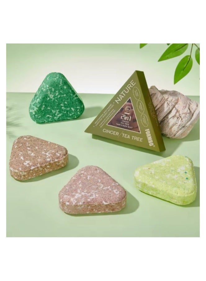 FORMBO Nature 2-in-1 Ginger & Tea Tree Hair and Body Soap – Purifying Herbal Cleanser for Skin & Scalp - Image 2