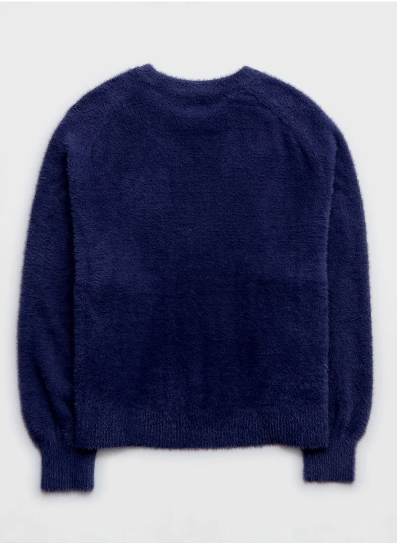 آري من امريكان ايجل Crew Neck Knitted Sweater