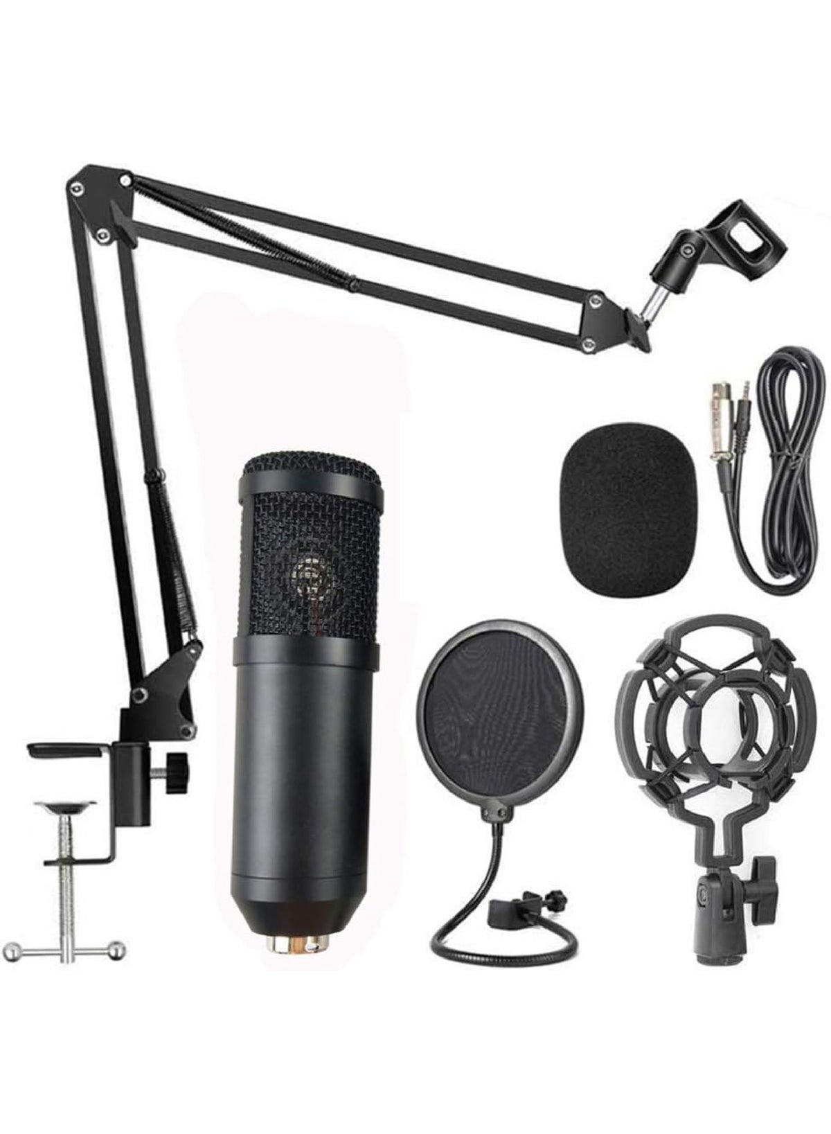 Rockpow Professional Cardioid Studio Condenser Mic