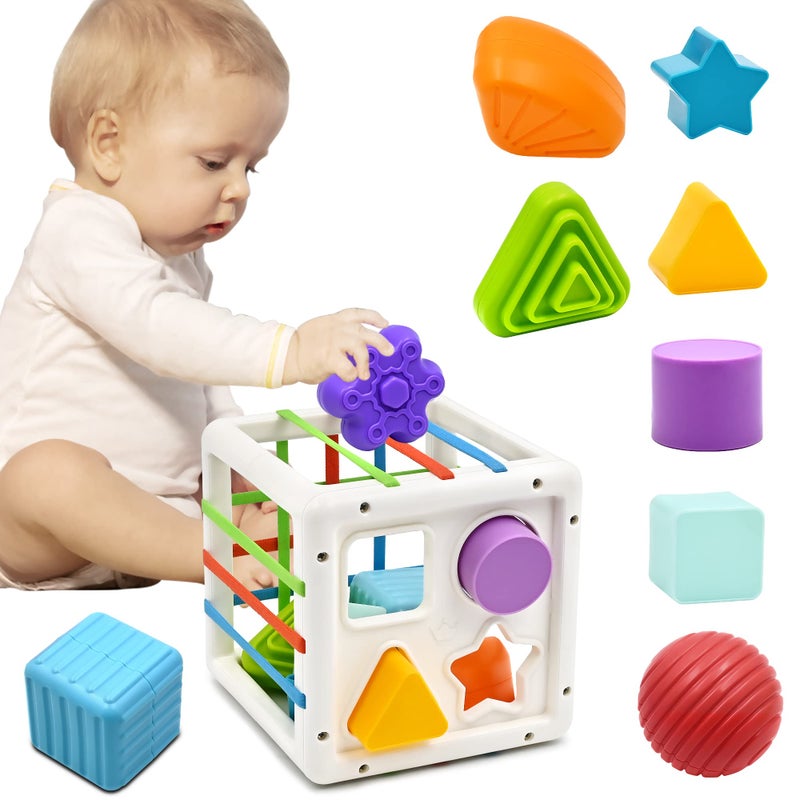 Mailesi Baby Toys for 1 2 Year Old Boys Girls, Montessori Sensory Toys for 12 18 Months 1st Gifts Educational Learning Shape Sorter Activity Cube Travel Toys for Autism Toddlers Birthday Presents - Image 1